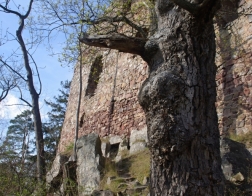CHKO Brdy - zřícenina hradu Valdek