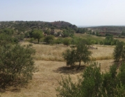 Panorama nedaleko od Maslenici