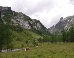 Údolí Dorfertal