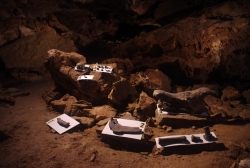 Koněpruské jeskyně - ukázky archeologických nálezů