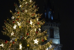 Praha - Vánoční trhy, Staroměstské náměstí, Vánoční stromeček