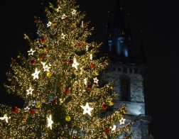 Praha - Vánoční trhy, Staroměstské náměstí, Vánoční stromeček