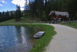 Rakousko - jezero Teichalmsee, „trojská“ kráva
