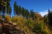 Jizerské hory - podzimní barvy