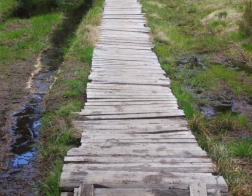 Výstup na Kralický Sněžník - cestou je několik dřevěných mostků pro překonání mokřad suchou nohou